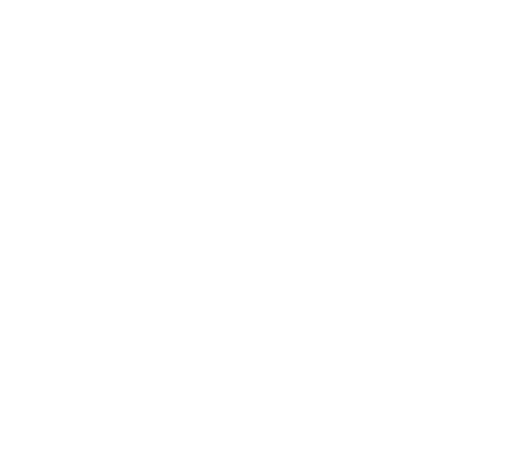 Vmoni Pte Ltd